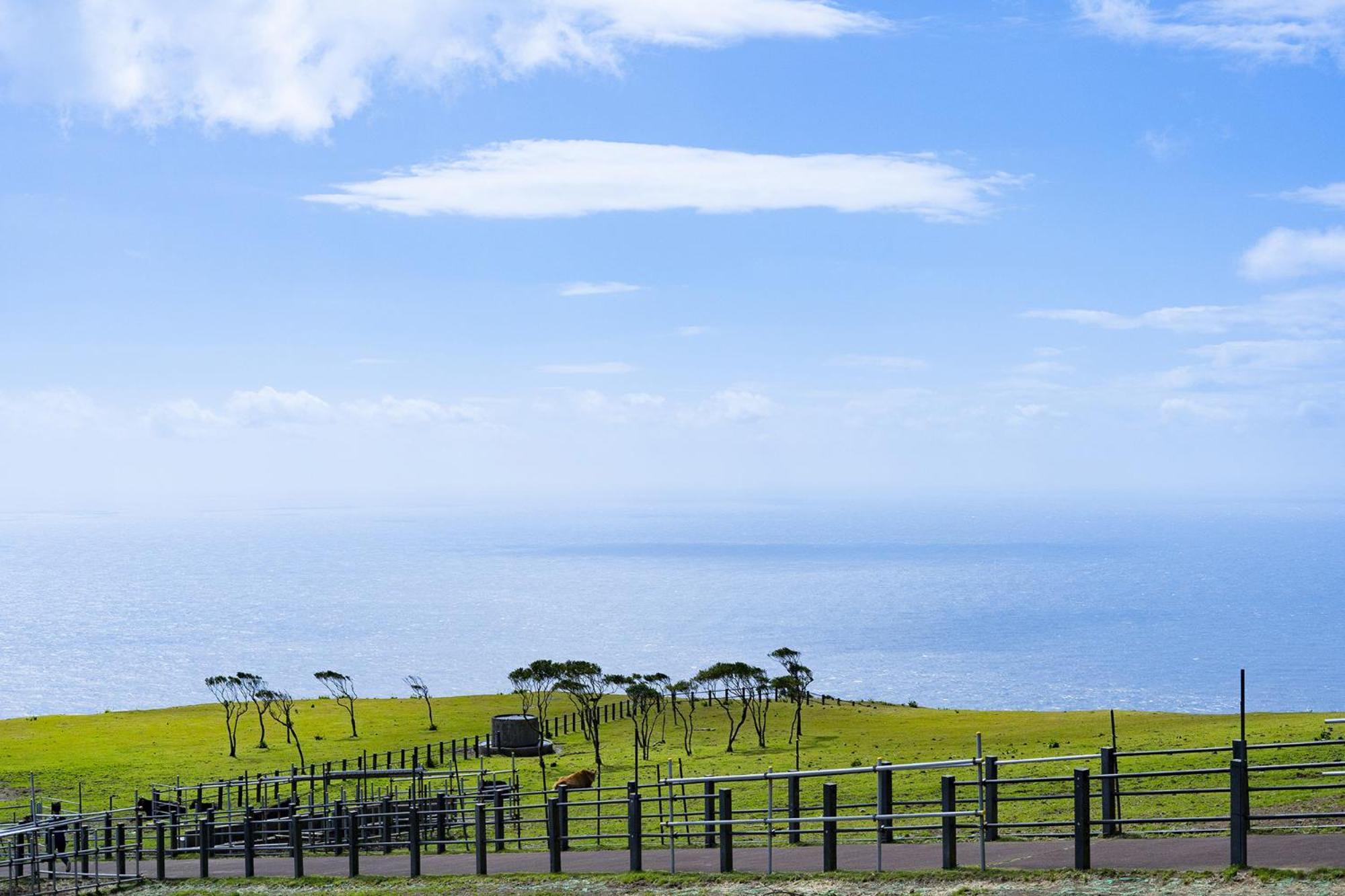 Hachijyo-Island Blue Eight -八丈島ブルーエイト- Villa Mitsune Eksteriør billede